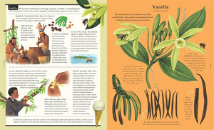 Stuff that Stuff is Made of: Things We Make With Plants