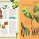 Stuff that Stuff is Made of: Things We Make With Plants