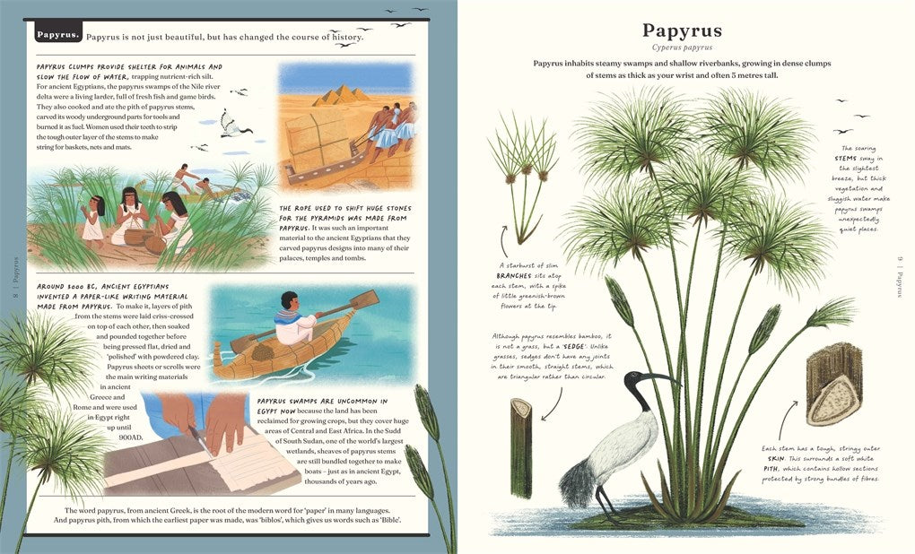 Stuff that Stuff is Made of: Things We Make With Plants
