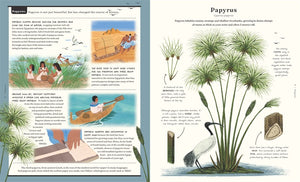 Stuff that Stuff is Made of: Things We Make With Plants