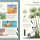 Stuff that Stuff is Made of: Things We Make With Plants