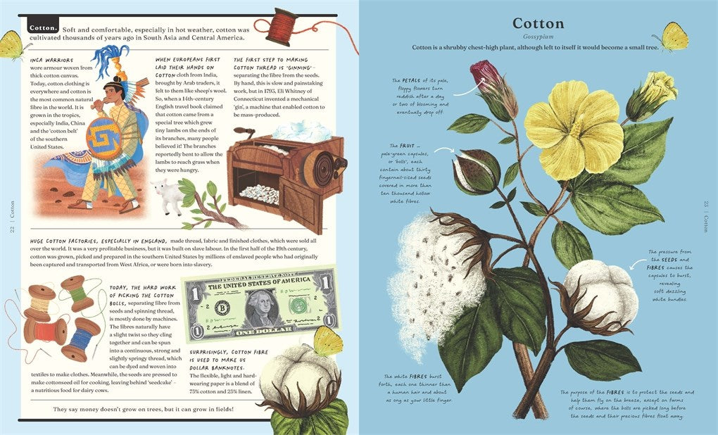 Stuff that Stuff is Made of: Things We Make With Plants