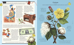 Stuff that Stuff is Made of: Things We Make With Plants