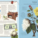 Stuff that Stuff is Made of: Things We Make With Plants