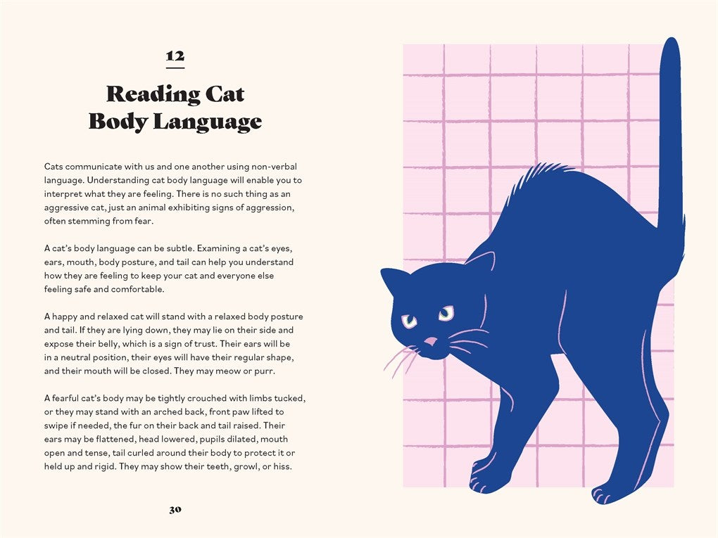 Ultimate Guidebook for Cat Owners (From a Veterinarian)