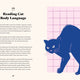 Ultimate Guidebook for Cat Owners (From a Veterinarian)