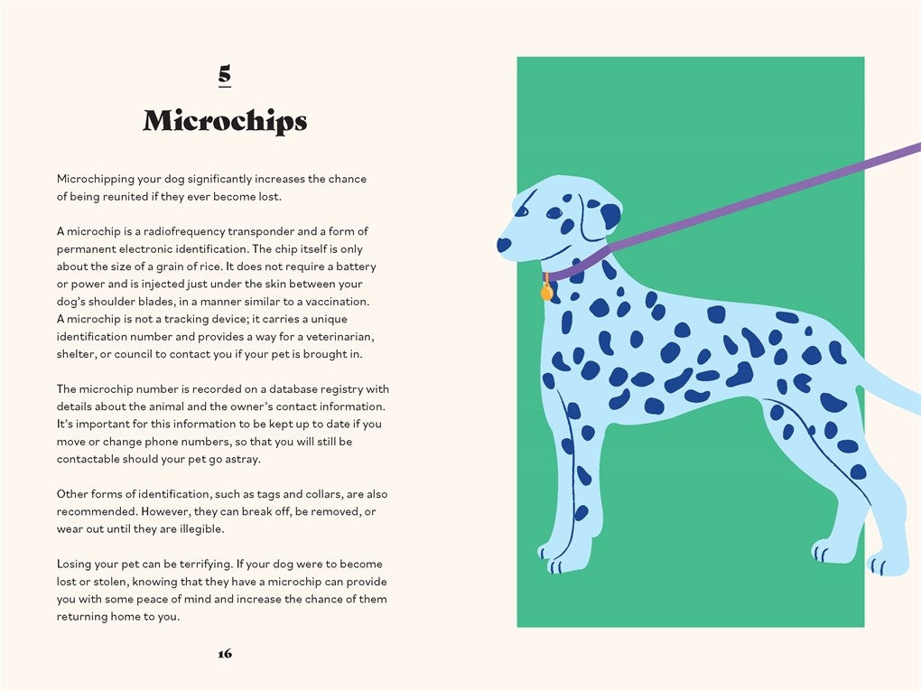 Ultimate Guidebook for Dog Owners (From a Veterinarian)