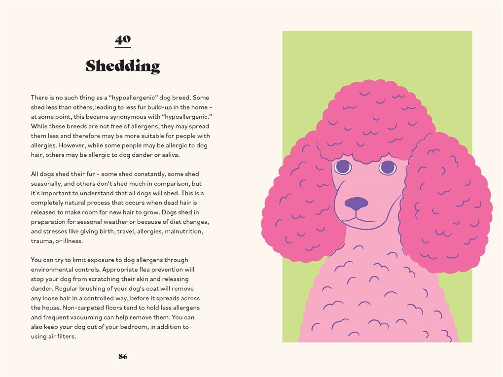 Ultimate Guidebook for Dog Owners (From a Veterinarian)