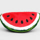 Watermelon Plush Zip Pouch