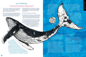Whale's Song:  Discover the Giants of our Oceans
