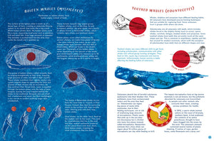 Whale's Song:  Discover the Giants of our Oceans