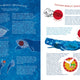 Whale's Song:  Discover the Giants of our Oceans