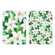 Bold Blooms White Lily 2pk Kitchen Towel