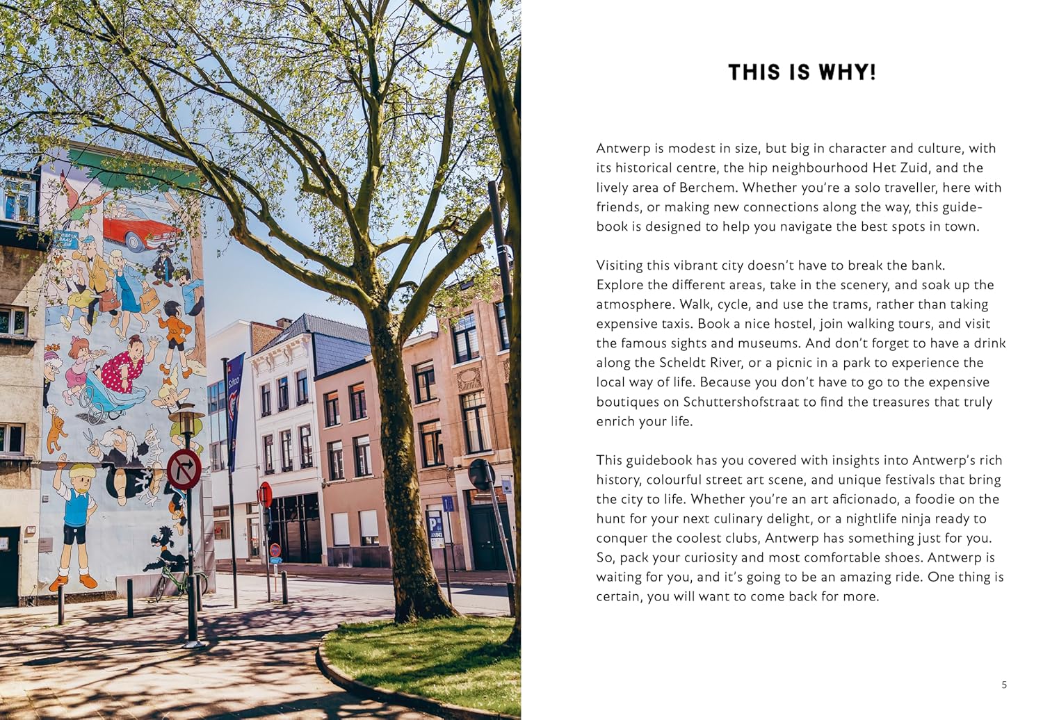 Why Should I Go to Antwerp