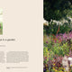 Wild by Design: Naturalistic Gardening for Modern Australian Landscapes