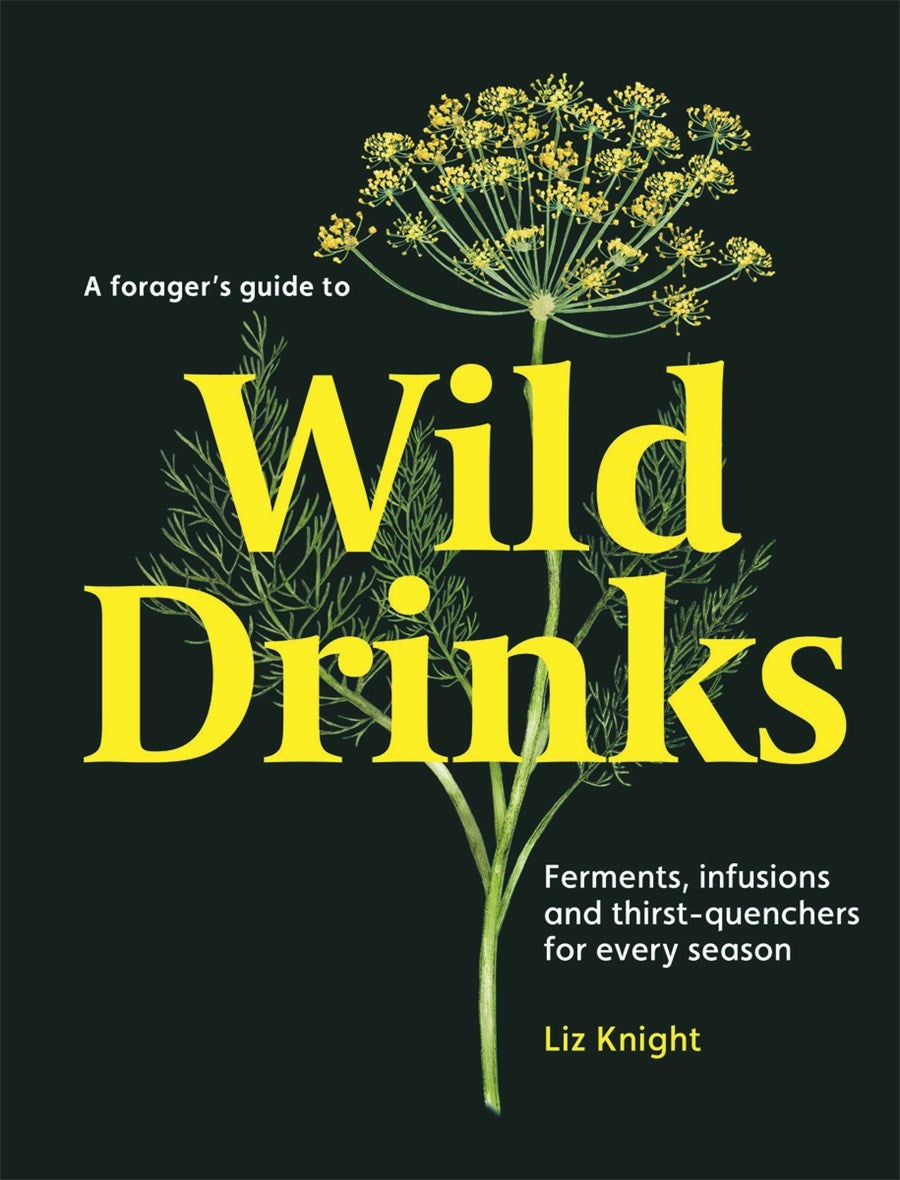 Forager's Guide to Wild Drinks: Ferments, Infusions and Thirst-Quenchers for Every Season