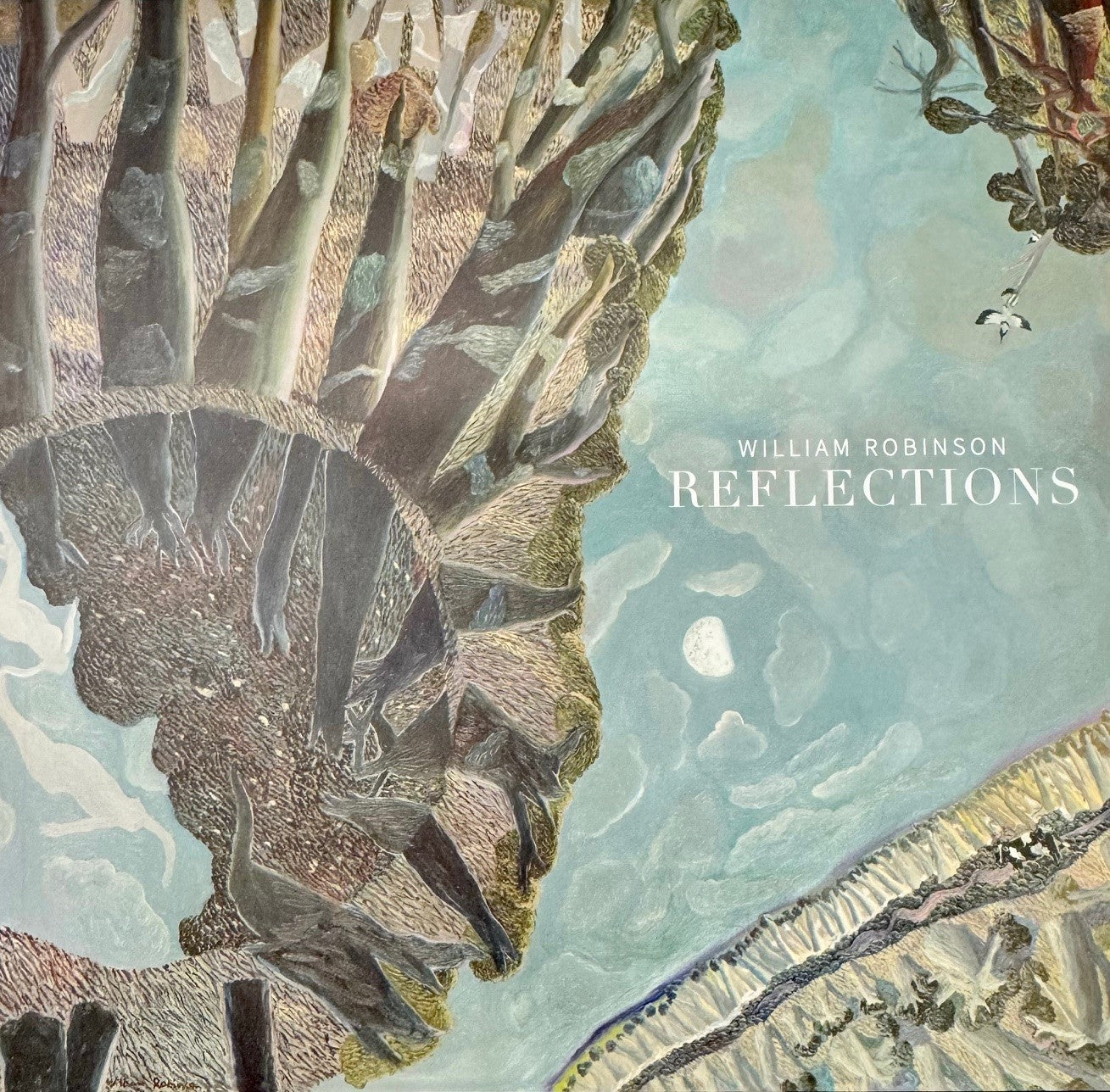 William Robinson: Reflections