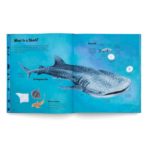 World of Sharks