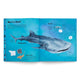 World of Sharks
