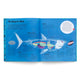 World of Sharks