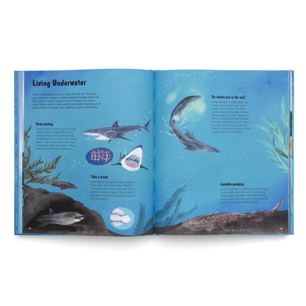 World of Sharks