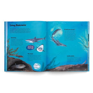World of Sharks