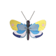 Yellow Butterfly B7 Butterflies Wall Art