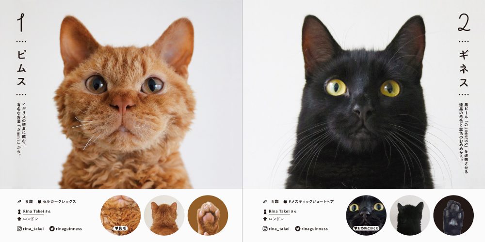 100 Cats 100 Minds