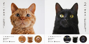 100 Cats 100 Minds