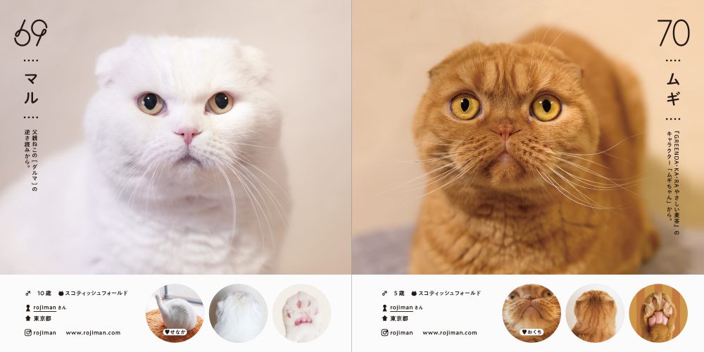 100 Cats 100 Minds