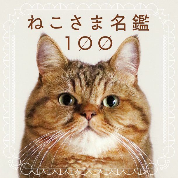 100 Cats 100 Minds