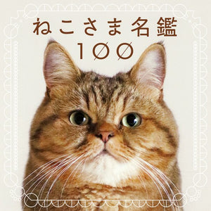 100 Cats 100 Minds