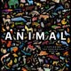 Animal: Exploring the Zoological World