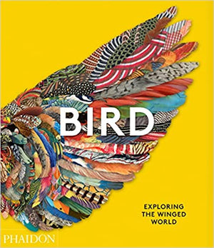 Bird: Exploring the Winged World