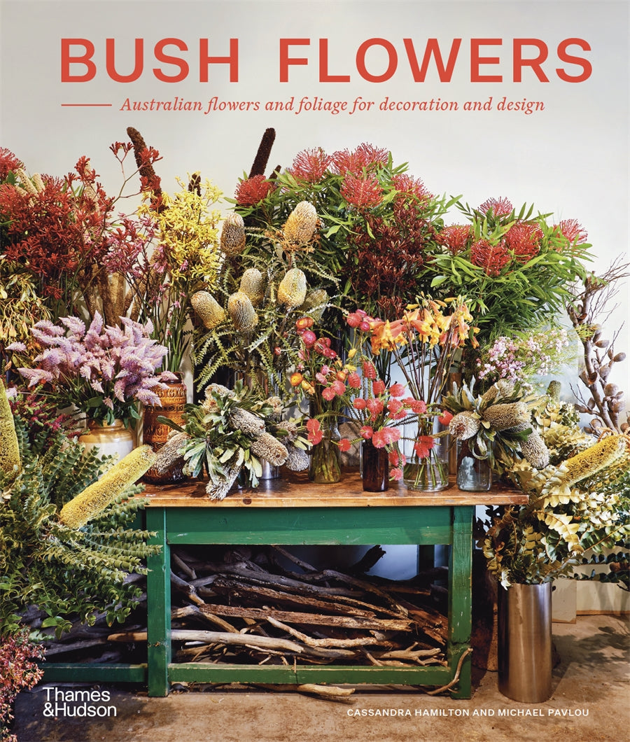 Bush Flowers Australian Flowers and Foliage for Decoration and Design