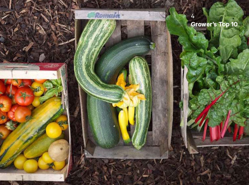 Do Grow: Start with Simple Vegetables