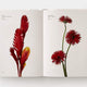 Flower Colour Guide