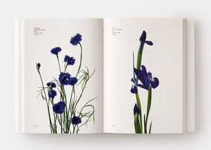 Flower Colour Guide