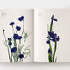 Flower Colour Guide