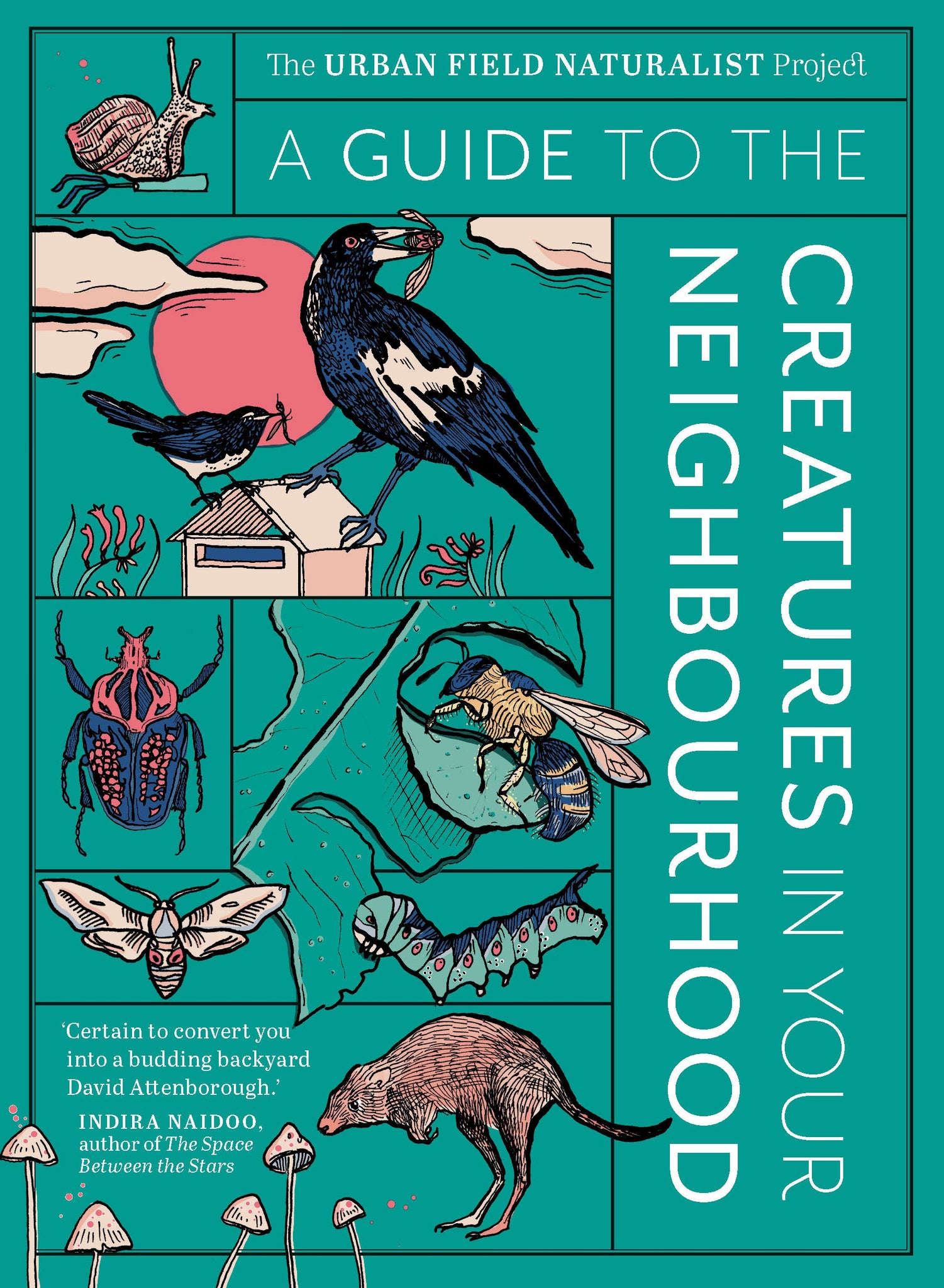 Guide to the Creatures in Your Neighbourhood