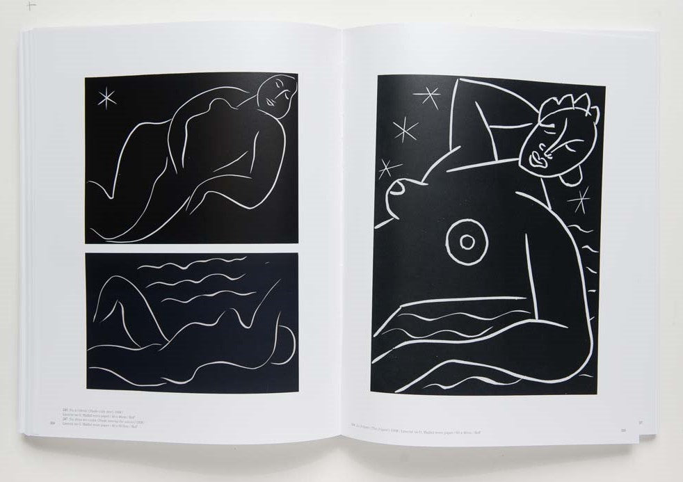 Matisse: Drawing Life