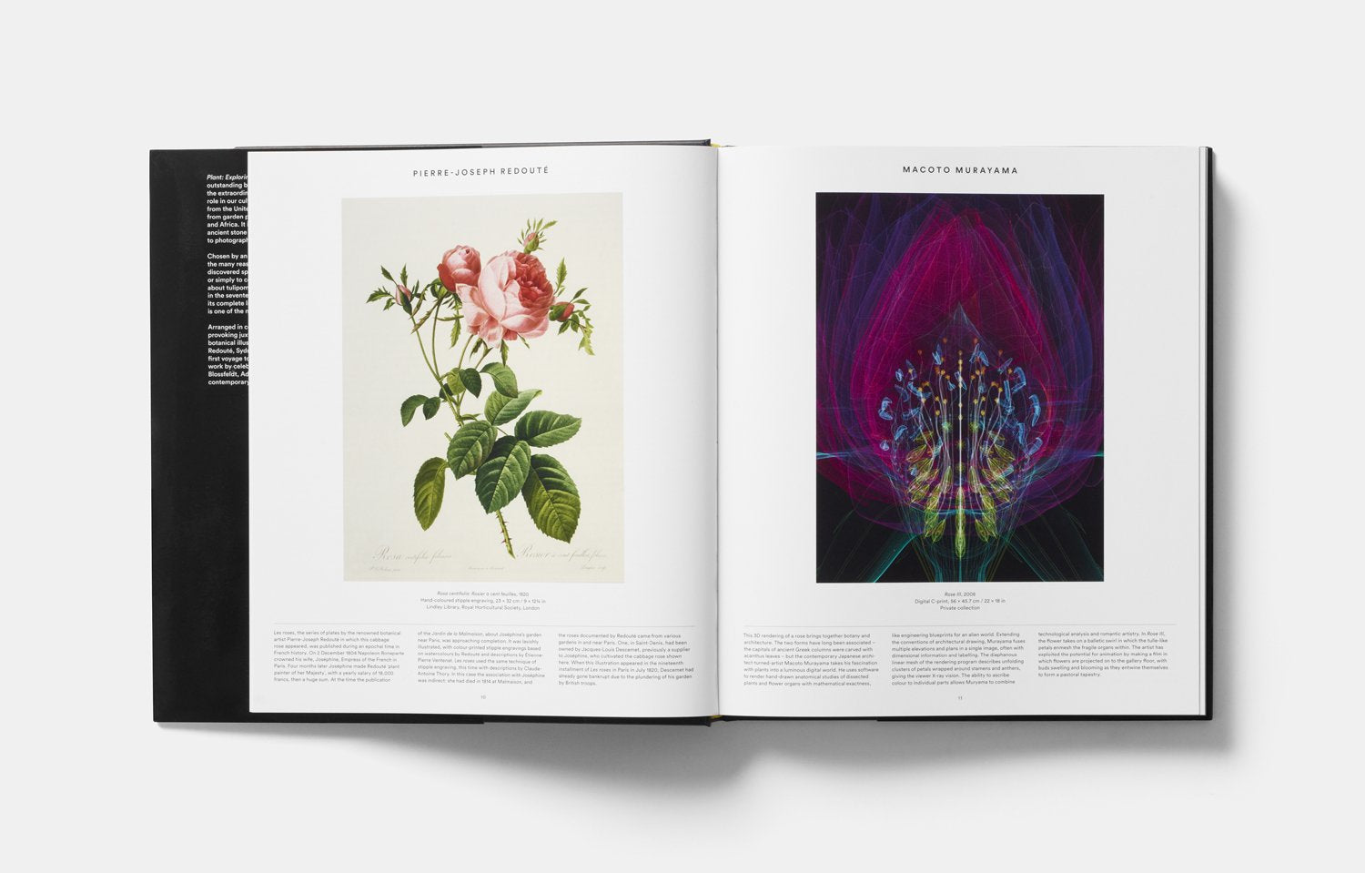 Plant: Exploring the Botanical World