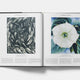 Plant: Exploring the Botanical World
