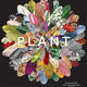 Plant: Exploring the Botanical World