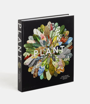 Plant: Exploring the Botanical World