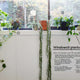 Plant Society: Create an Indoor Oasis for your Urban Space
