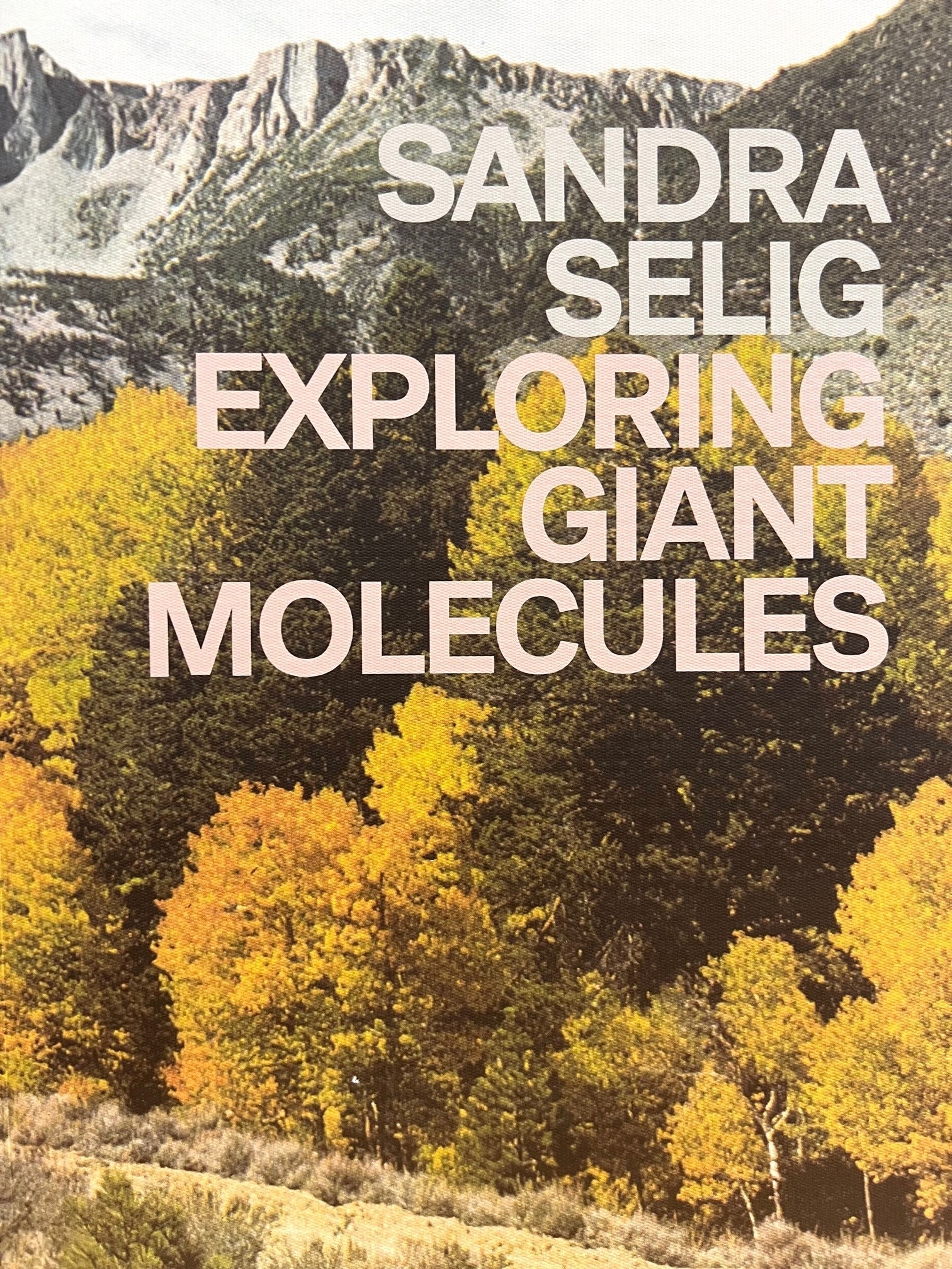 Sandra Selig: Exploring Giant Molecules