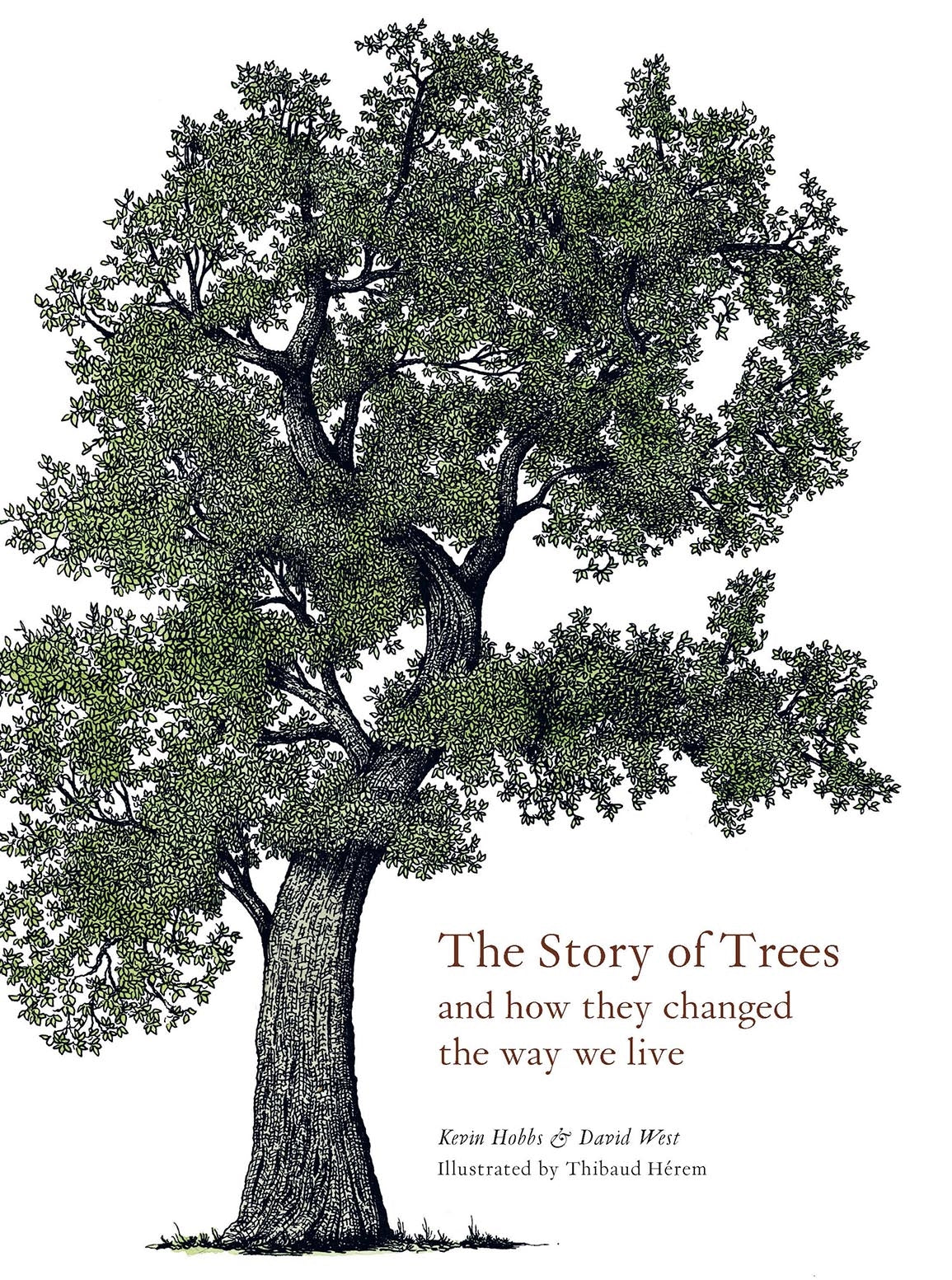 Story of Trees and How They Changed the Way We Live