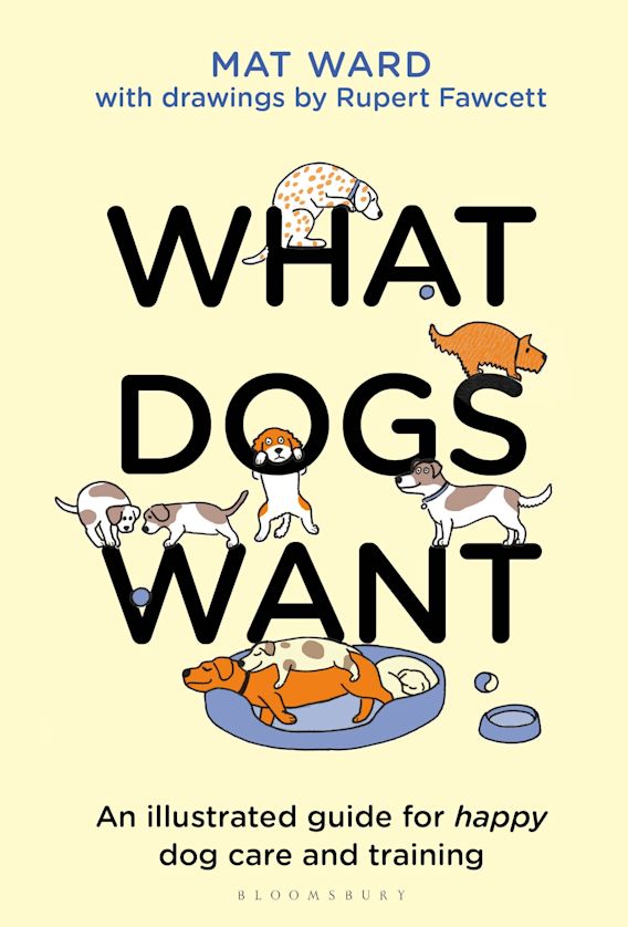 What Dogs Want