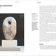 Women Artists: Art Essentials